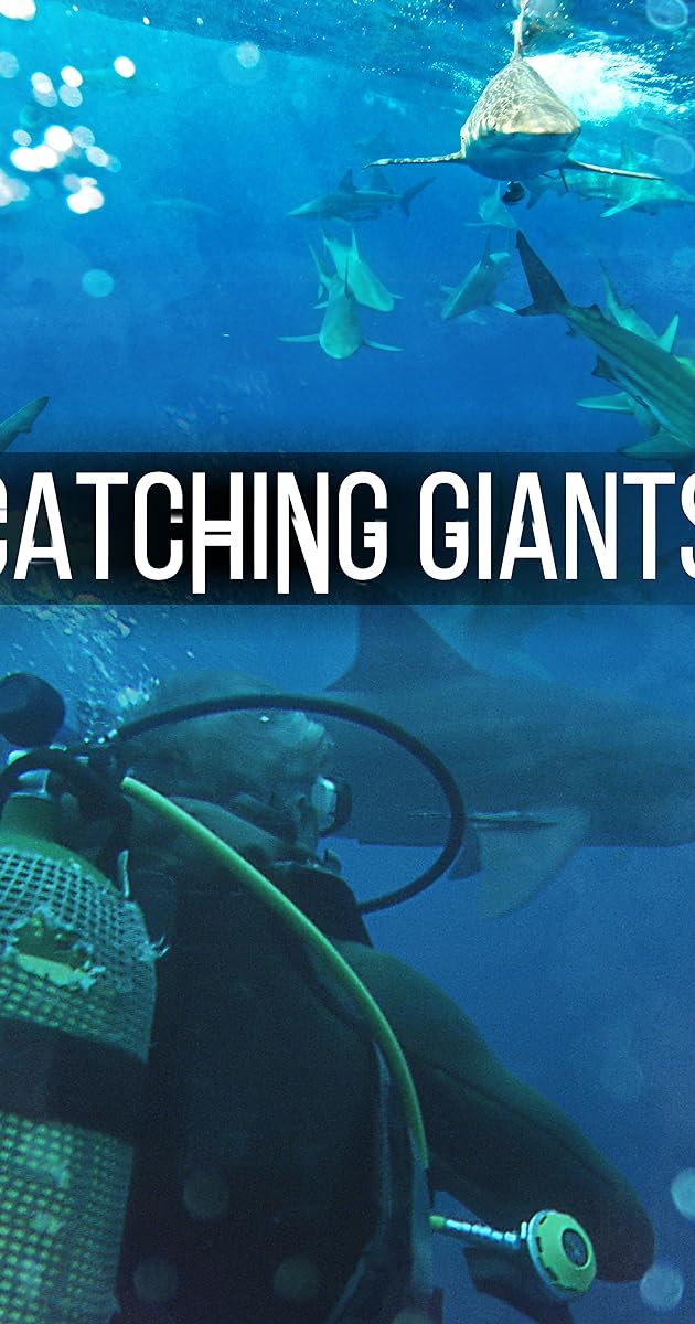 Catching Giants: Zambezi Shark