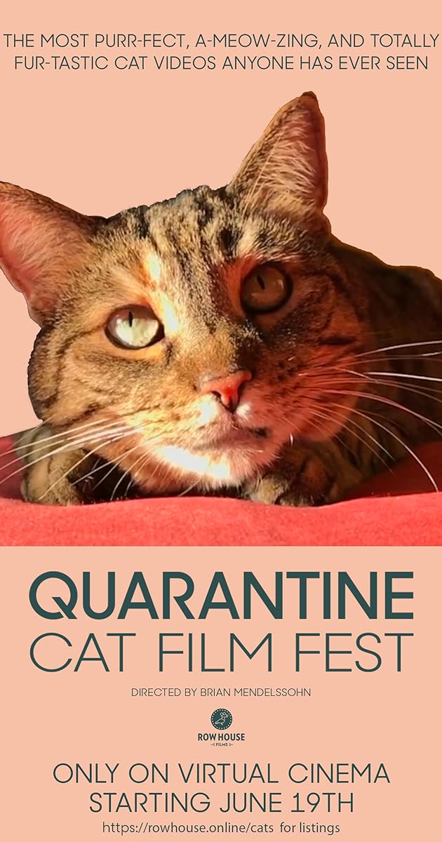 Quarantine Cat Film Festival