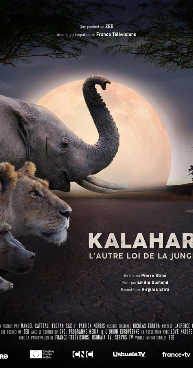 Kalahari, l'autre loi de la jungle