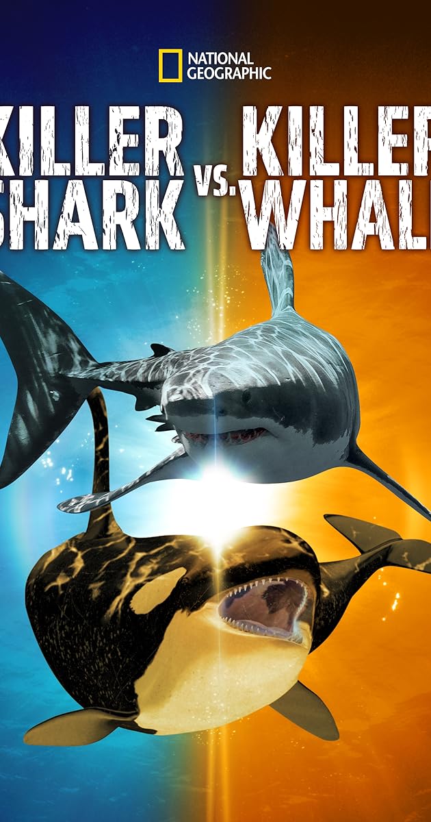 Killer Shark Vs. Killer Whale
