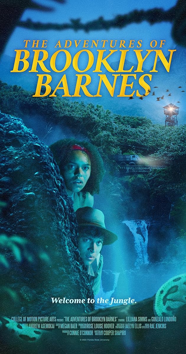 The Adventures of Brooklyn Barnes