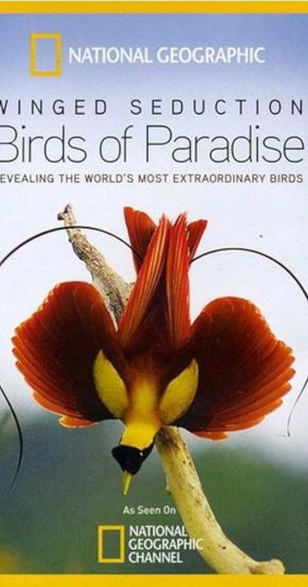 Kuş Cenneti: Kanatlı Cazibe