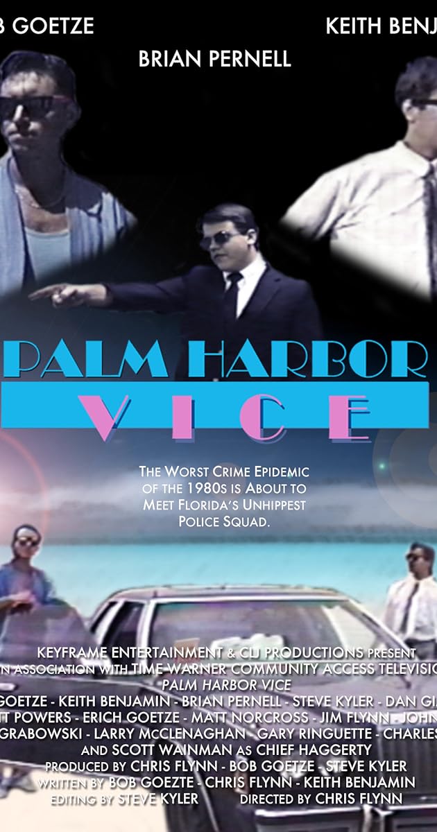 Palm Harbor Vice