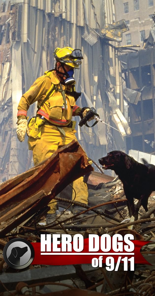 Hero Dogs Of 9/11