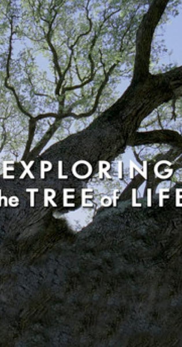 Exploring 'The Tree of Life'